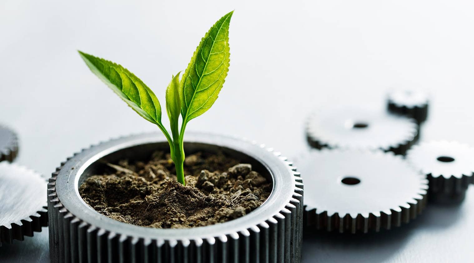 Umweltschutz und Nachhaltigkeit